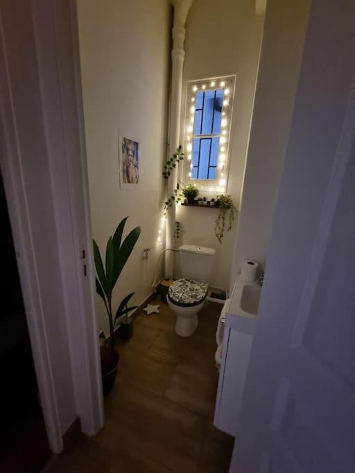Charmant 70 M2 Coeur De Apartment Nizza