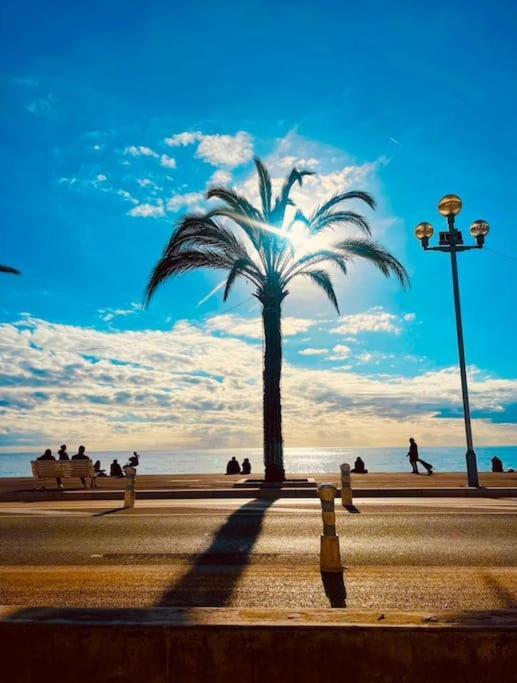 Charmant 70 M2 Coeur De Nizza